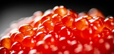 تصویر 2 از خاویار سرخ رنگ طبیعی جلوه بشقاب